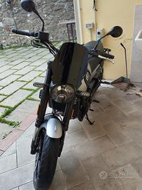 Benelli Leoncino 500 - 06/2020
