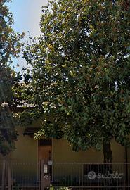 Villa singola con terreno edificabile