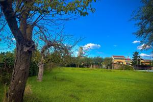 TER. RESIDENZIALE A ALBANO LAZIALE