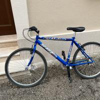 Bici mtb