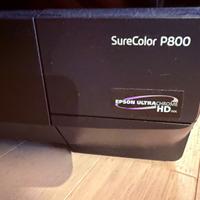 Stampante foto professionale epson surecolor p800