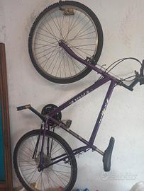 bicicletta