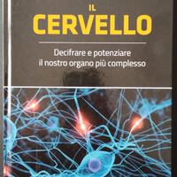 Il CERVELLO, il nostro organo più complesso