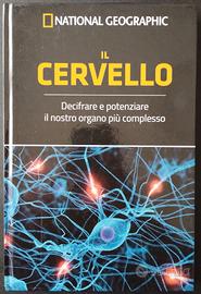 Il CERVELLO, il nostro organo più complesso