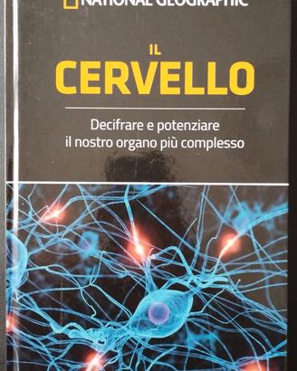 Il CERVELLO, il nostro organo più complesso