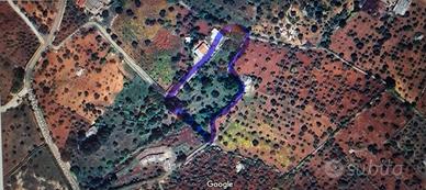 Castellana grotte vendita terreno