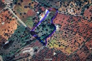 Castellana grotte vendita terreno