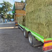 Rimorchio 3 assi Zorzi