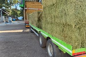 Rimorchio 3 assi Zorzi