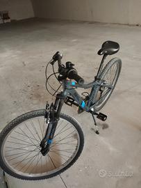 bici Skl