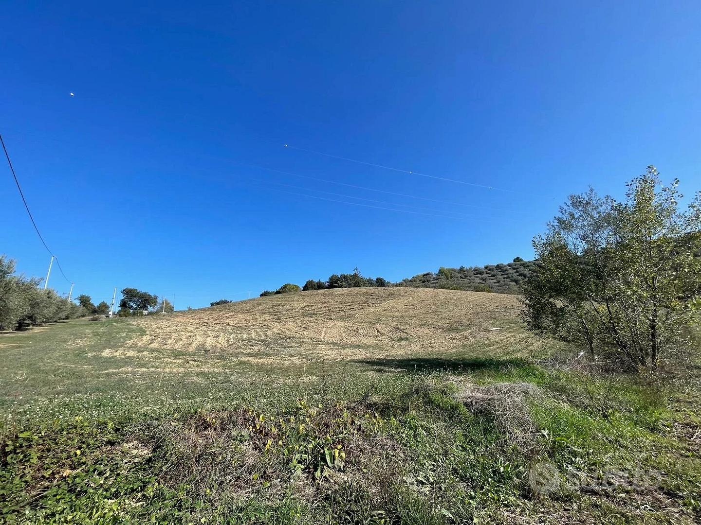 TERRENO AGRICOLO - Altro
