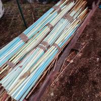 canne in bambù colorate 