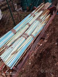 canne in bambù colorate 