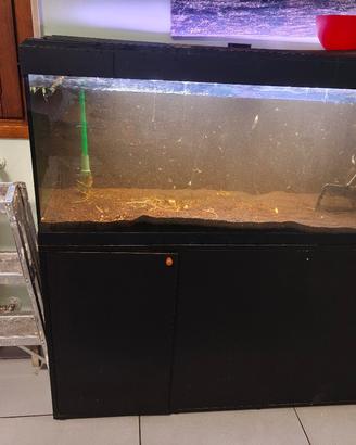 Acquario 240 lt