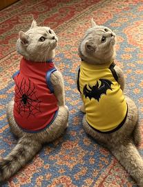 Gilet Supereroe per gatti e cani