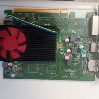 scheda grafica ho amd radeon rx550