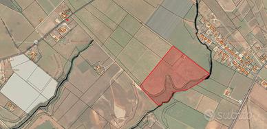 Aprilia (LT) - Terreno 7,7 HA con pozzo | TR217