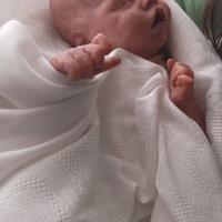 Reborn doll 
