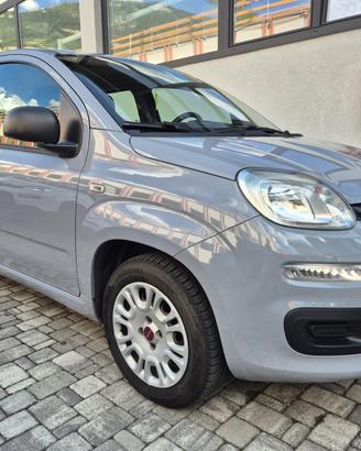 Fiat Panda 1.2 69CV OK NEOPATENTI
