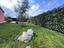 Immagine 26