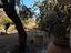Immagine 28