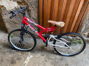 Bicicletta ragazzo/a