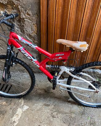 Bicicletta ragazzo/a