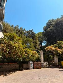 Appartamento bosco di capodimonte