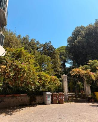 Appartamento bosco di capodimonte