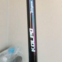 Canne Bolognesi 4 e 7 metri