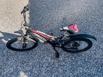 Bici Bambino Cannellini 20 pollici