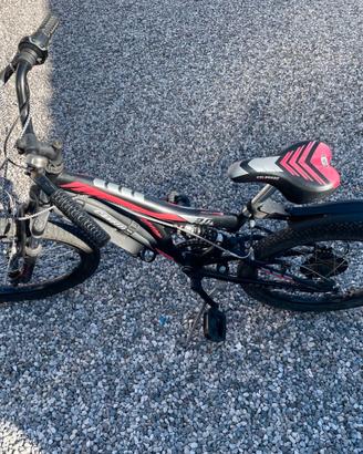 Bici Bambino Cannellini 20 pollici