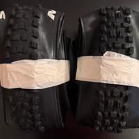 Gomme bici MAXXIS Assegai e Dissector 29”