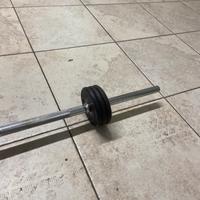 Bilanciere con dischi integrabili