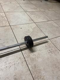 Bilanciere con dischi integrabili