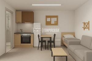 AMPIO MONOLOCALE + ACC