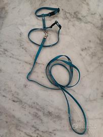 guinzaglio per gattini