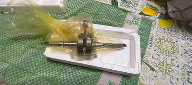 albero spalle piene motorfoce 