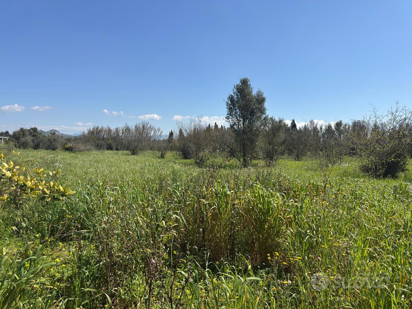 San Sperate. Terreno agricolo recintato - Vista 3
