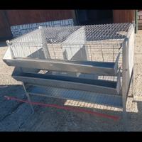 gabbia galline 