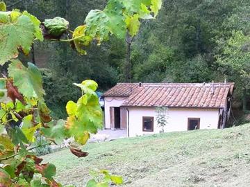 Rustico / Casale di 15130 m² a Anghiari