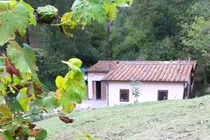 Rustico / Casale di 15130 m² a Anghiari