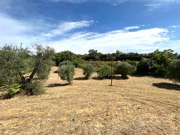 Terreno agricolo edificabile - Pisticci