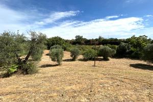 Terreno agricolo edificabile - Pisticci