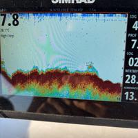 Simrad cruise 7"