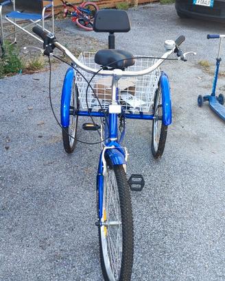 Bicicletta 3ruote