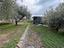 Immagine 27