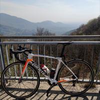Giant tcr pro team TG M