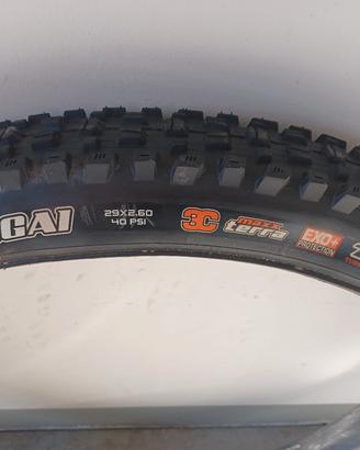 copertone MTB  maxxis assegai