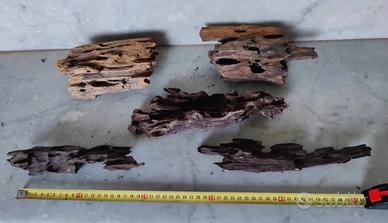 Legni e pietre per acquario 